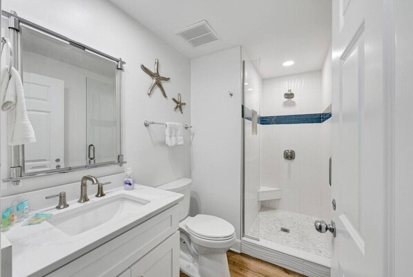 Shower, hair dryer
