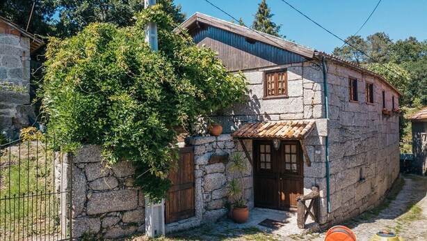 A stone house with a wooden door, a small porch, and a potted plant.