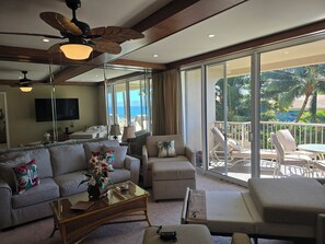 Téléviseur connecté, lecteur de DVD, livres