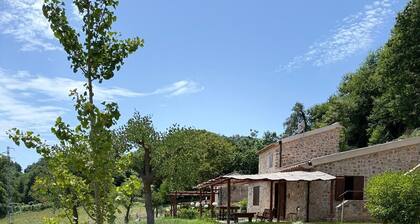 The Three Barnyards - The Gecko. A cozy and elegant retreat in pure nature
