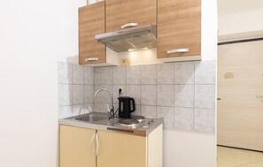 Fridge, stovetop, coffee/tea maker