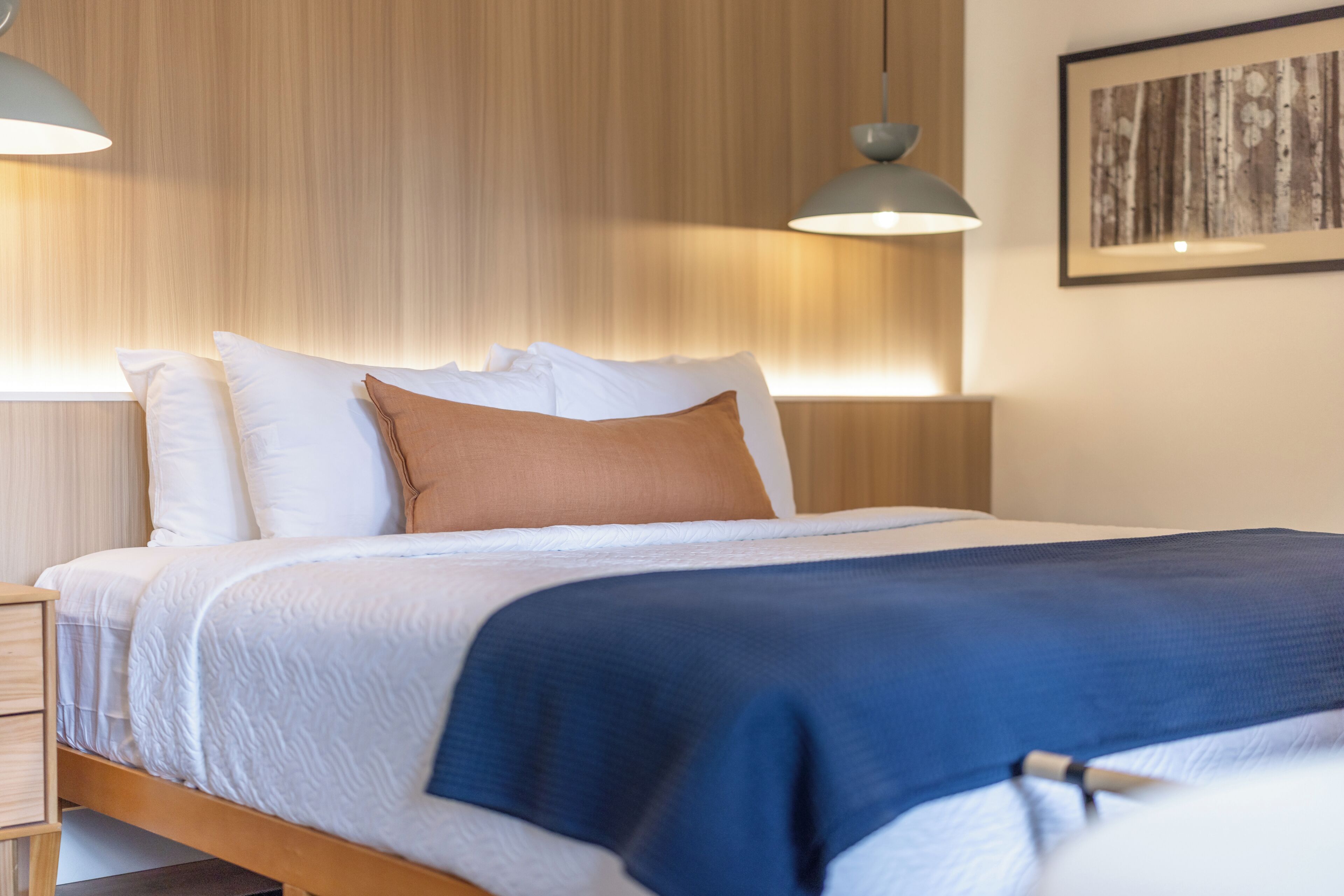 A neatly made bed with a blue blanket, white pillows, and a brown accent pillow. There are two bedside lamps and a framed picture on the wall.