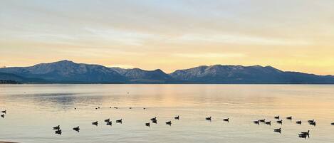 Playa privada en los alrededores