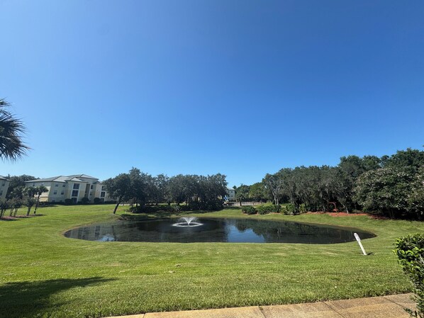A well-maintained lawn with a central pond and fountain, surrounded by trees and a building in the background.