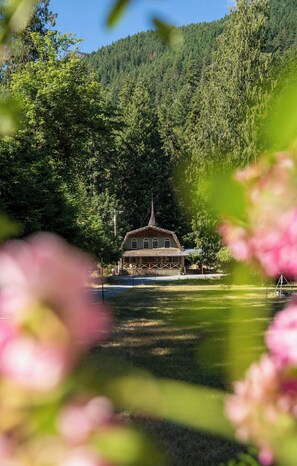 Property grounds - Hot Tub & Sauna - 1 mile from Mount Rainier NP - Forest view - Sleeps 8 (Ashford)