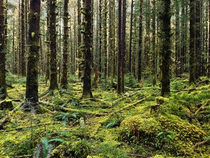 Miscellaneous - Remodeled 32’ Airstream with incredible water views on large, private acreage (Brinnon)