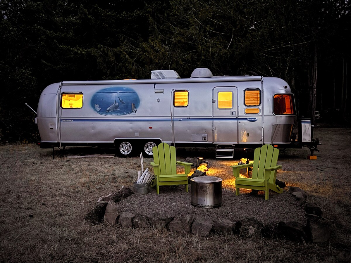 Værtens profilbillede