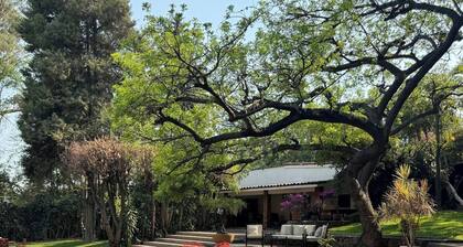 Historic homes with services and heated pool 1 and 2