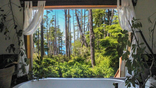 A bathroom with a bathtub, a window, and a view of a forest.