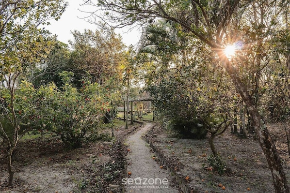 Área da propriedade