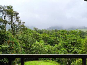 Un paisaje verde y exuberante con vegetación densa y una montaña brumosa al fondo.
