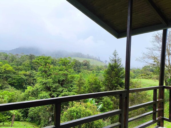 Property grounds - Calas Lodge: Quiet cabin, surrounded by nature and beautiful landscapes. (Bajos del Toro)