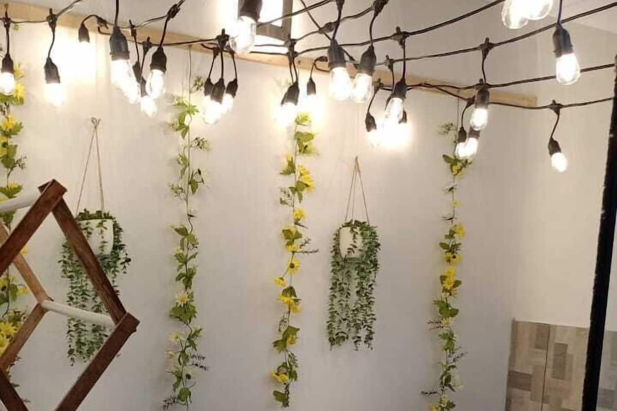 A room with a sofa, hanging plants, and string lights.