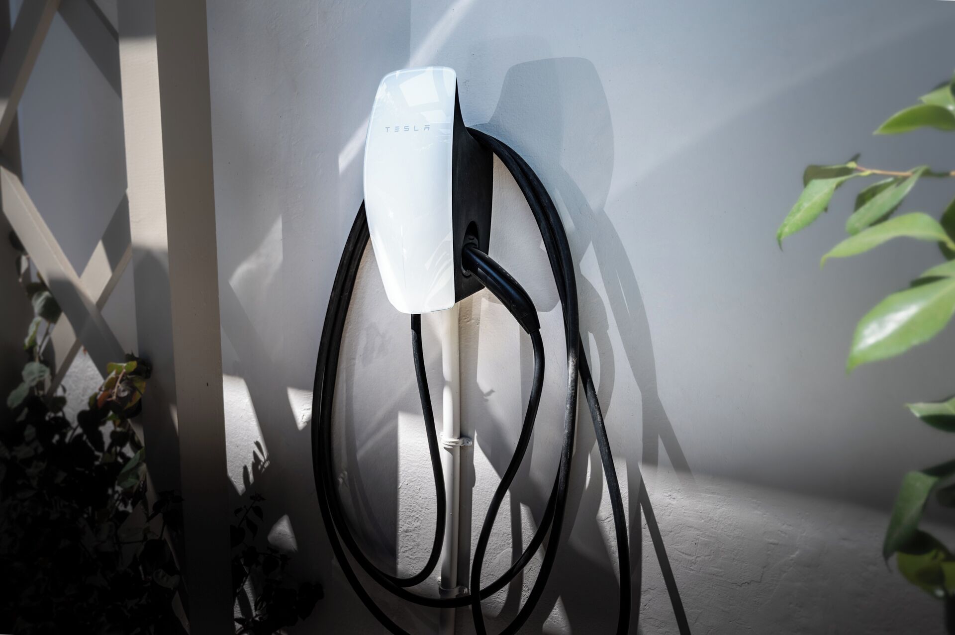 A Tesla charging station mounted on a wall with a plant beside it.