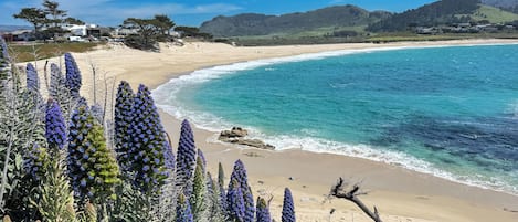 Espreguiçadeiras, toalhas de praia
