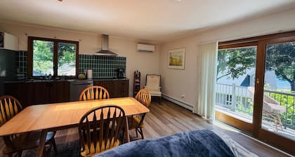 Lakeview studio in enchanting Port Sanilac with AC