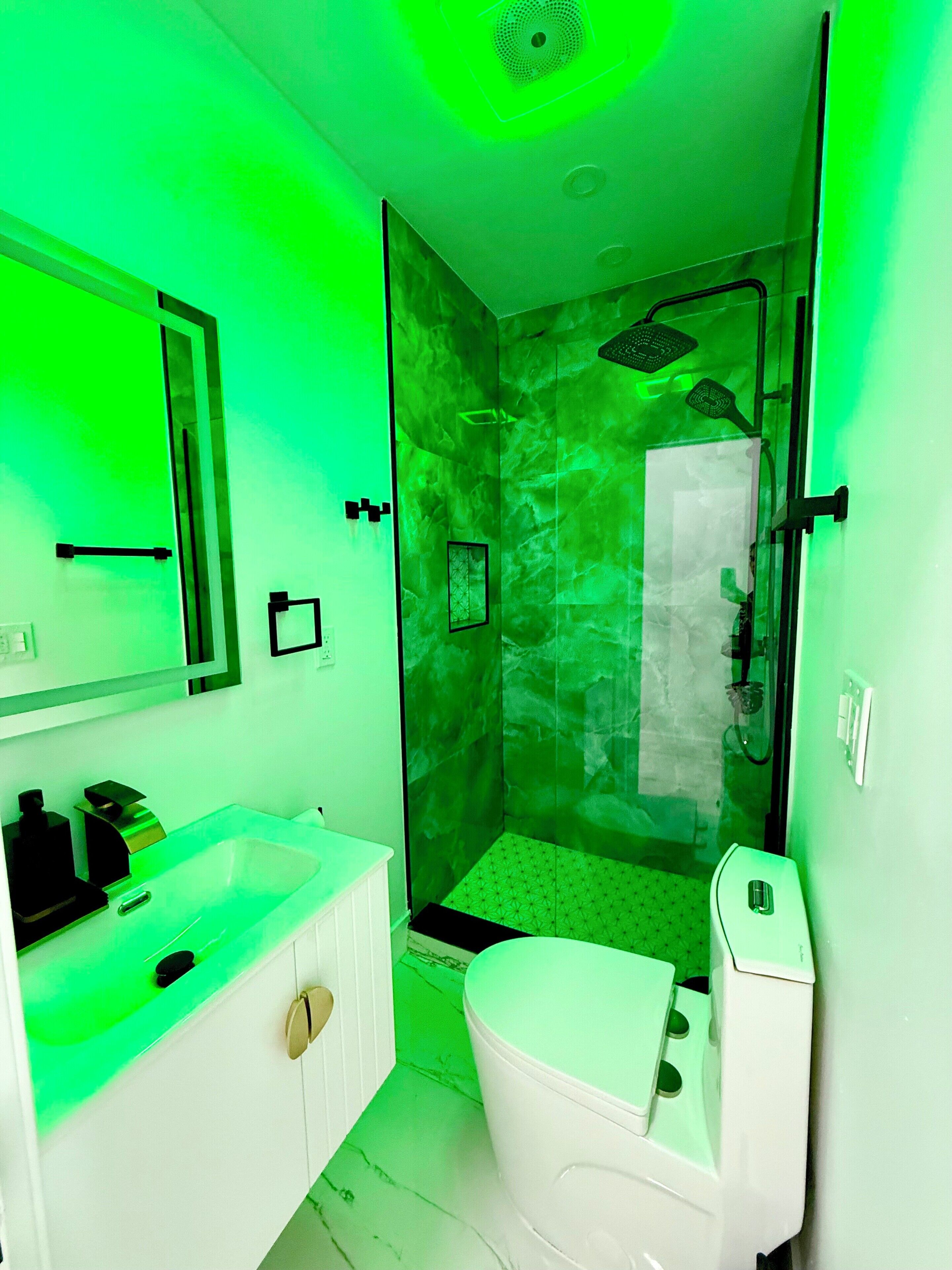 Shower, towels, soap, toilet paper