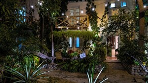 Un'area giardino all'aperto con un vialetto in pietra, diverse piante e una struttura in legno.