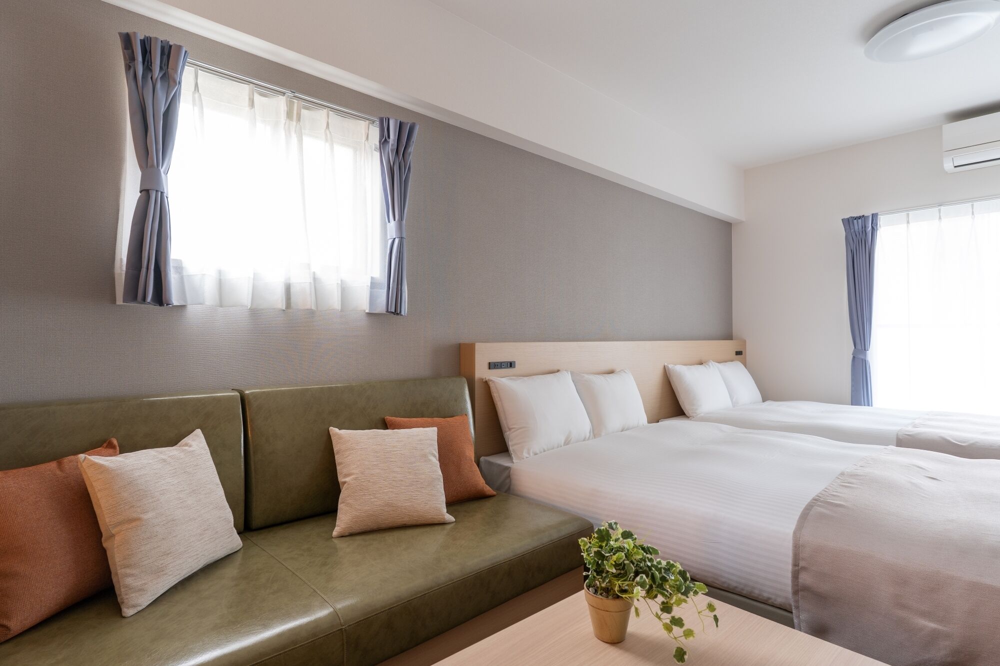 Une chambre d’hôtel avec un canapé vert, deux lits simples, une petite table avec une plante et des rideaux aux fenêtres.