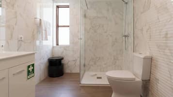 Dusche, Haartrockner, Handtücher, Shampoo