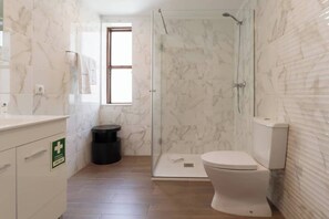 Shower, hair dryer, towels, shampoo