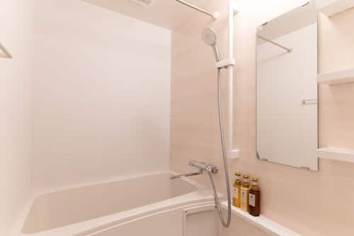 Combined shower/bathtub, free toiletries, hair dryer, bidet