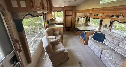 Major League Motor Inn