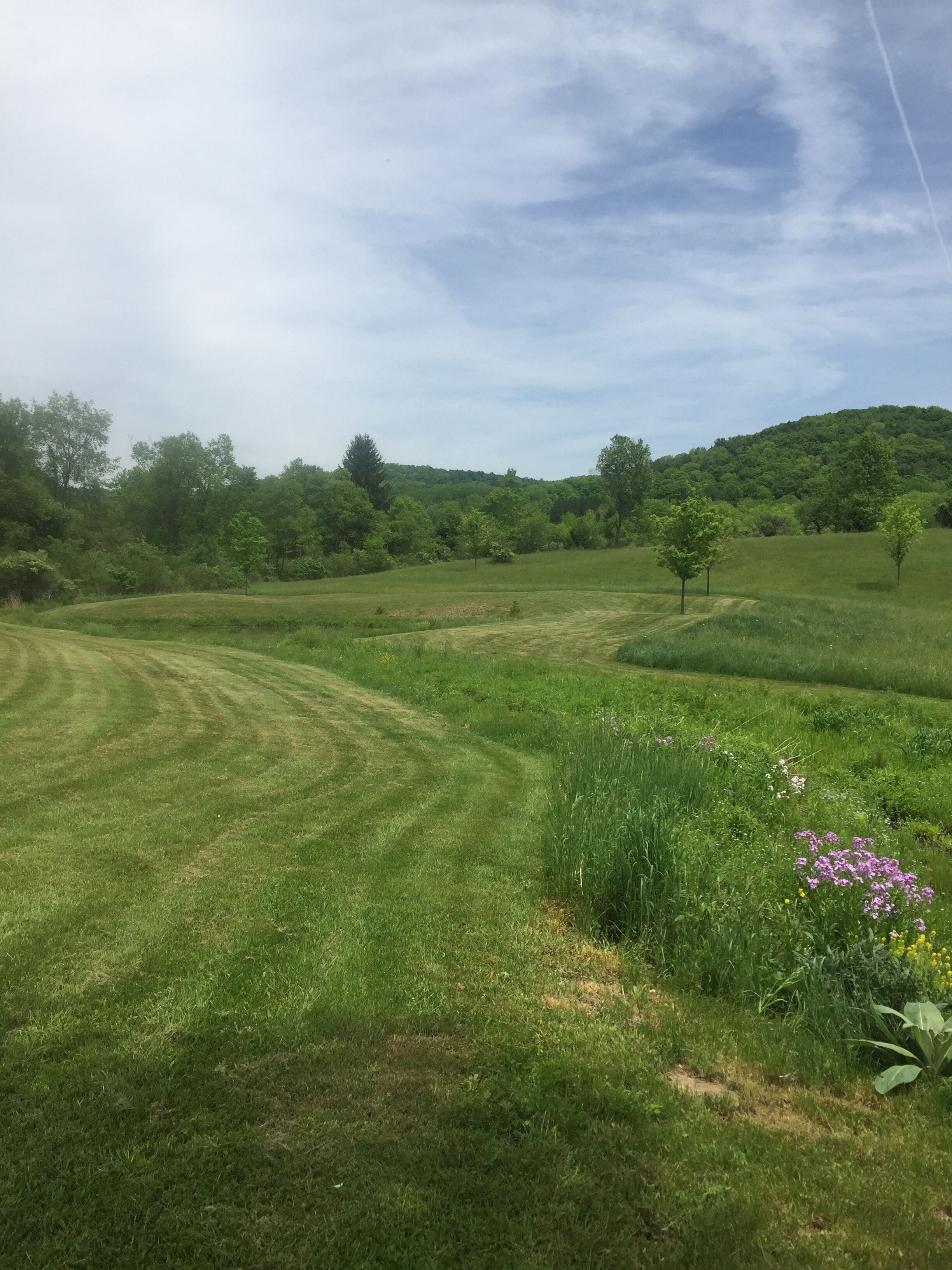 Ein grünes Feld mit einigen Bäumen und einer Hügelkette im Hintergrund.