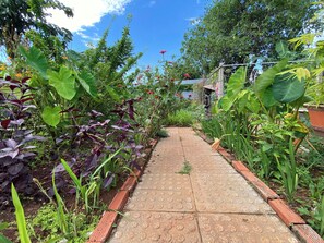 Property grounds - Căn hộ cho 2-3 gia đình (Buôn Ma Thuột)