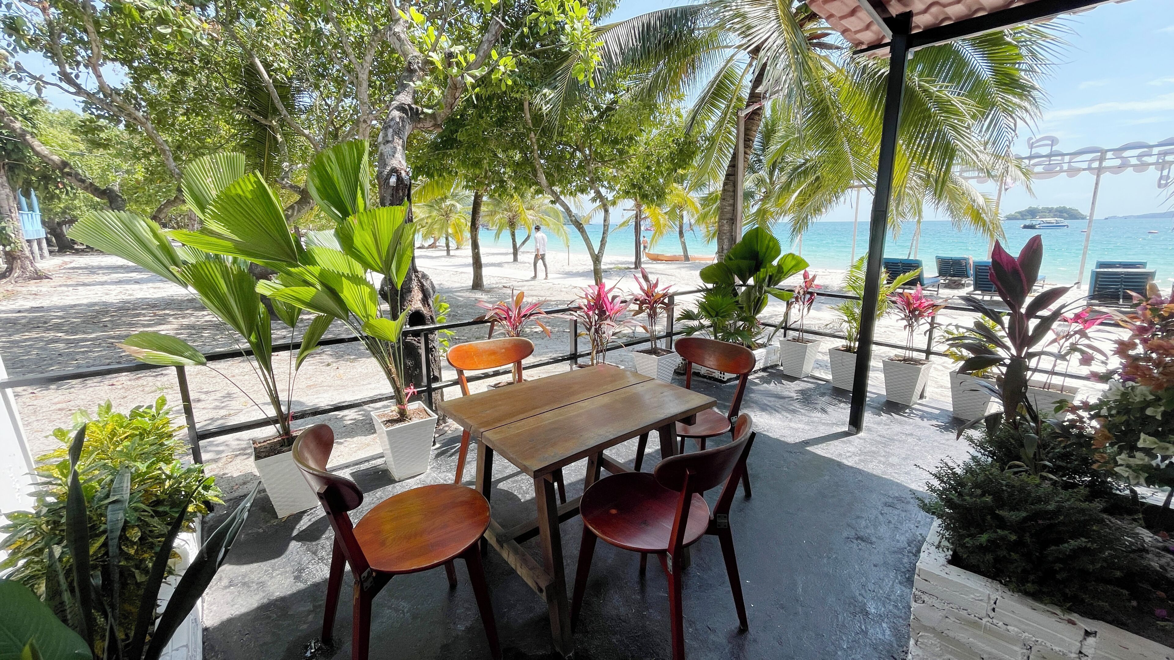 A wooden table and chairs set outdoors with potted plants, a view of the beach, and a palm tree.