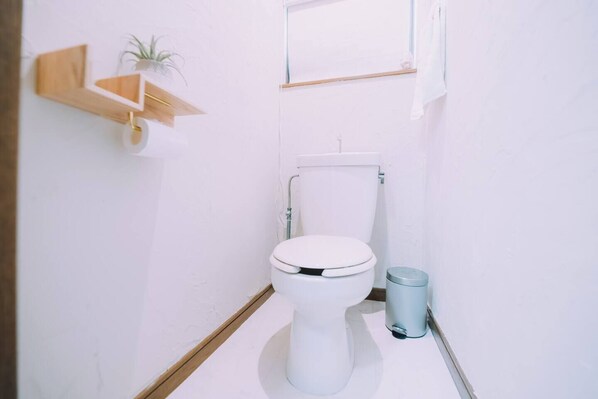 Ett litet, rent badrum med en vit toalett, en papperskorg och en trähylla med en växt.