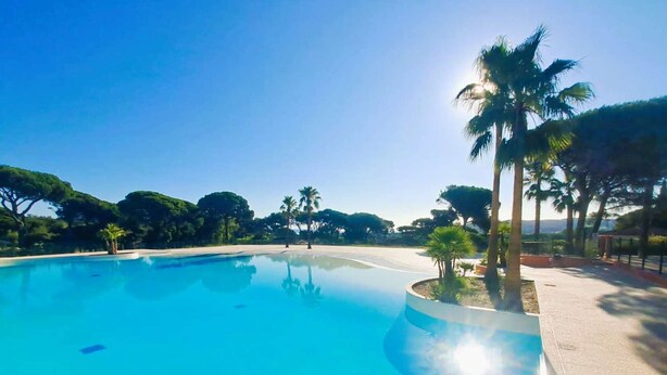 A clear blue swimming pool with a metal ladder, surrounded by palm trees and a clear sky.
