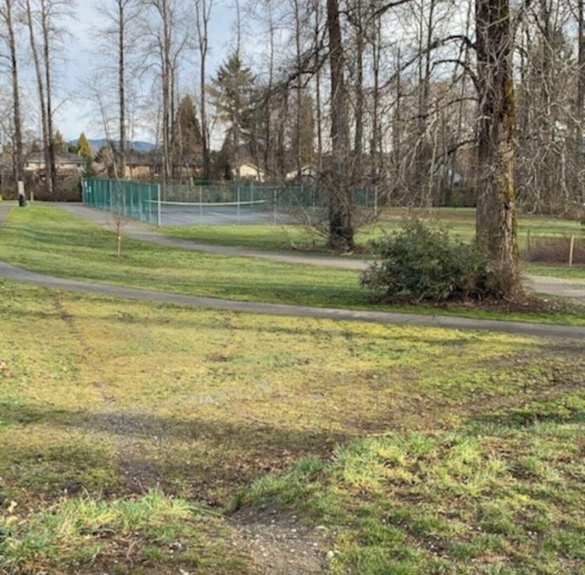 Un parc doté d’un chemin pavé, de zones herbeuses et d’arbres sans feuilles.