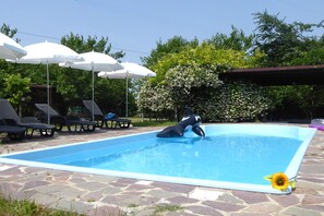 Una piscina con sillas de descanso y sombrillas, rodeada de árboles y un arbusto de flores.