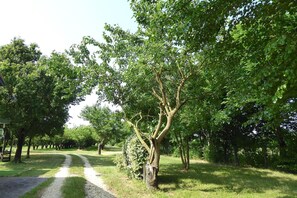 Terrein van de accommodatie