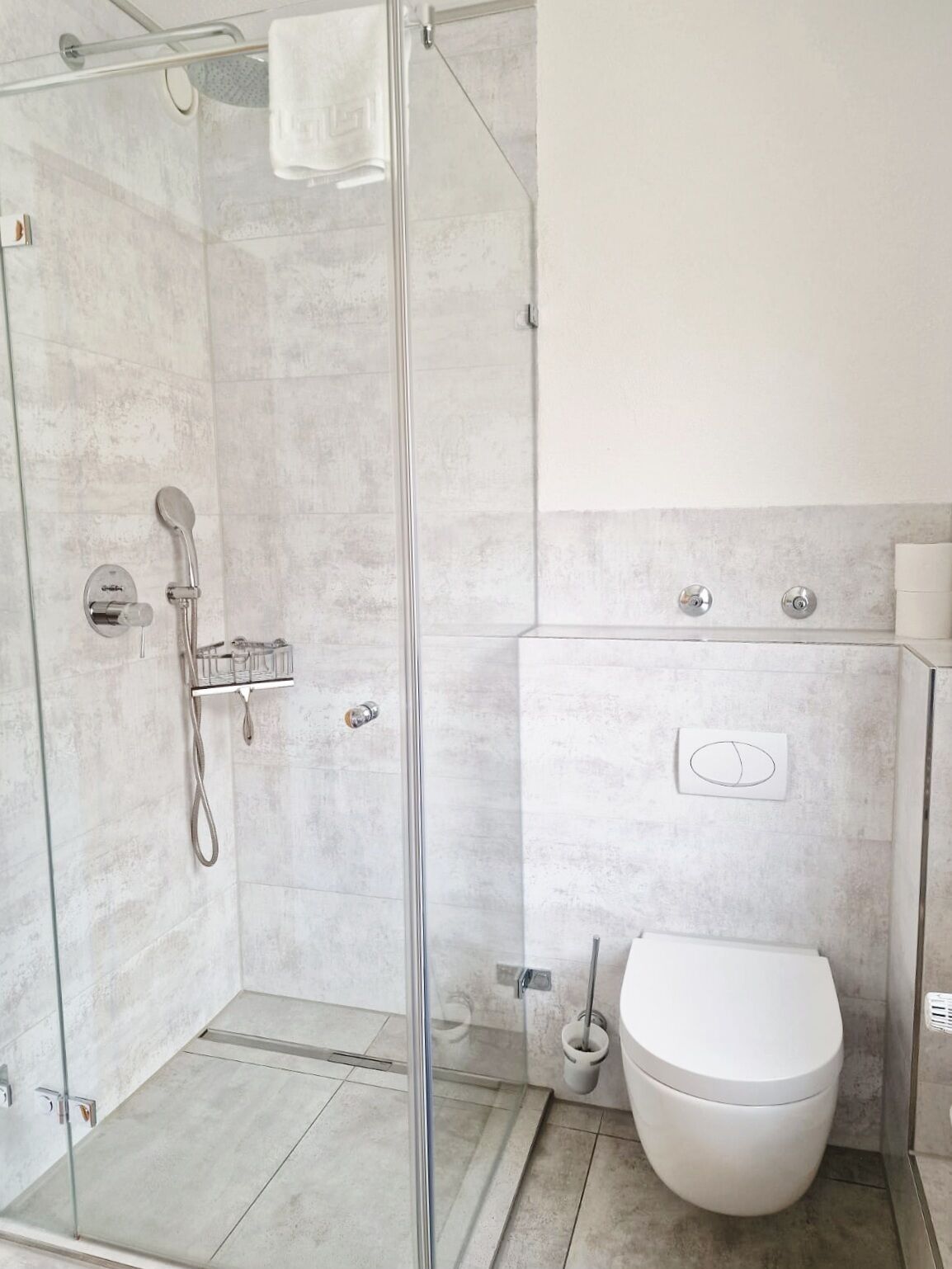 A modern bathroom with a glass-enclosed shower, a toilet, and a towel rack.