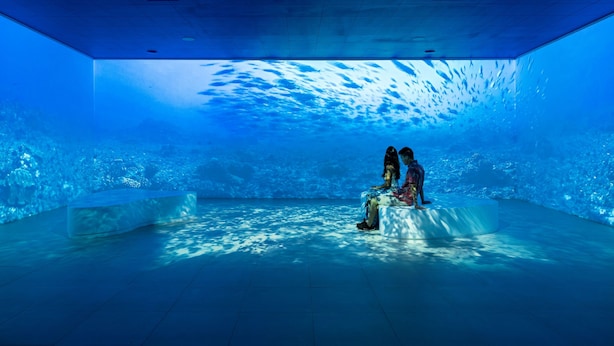 Zona de visión subacuática con un acuario grande, asientos y techo con ventilación.