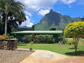 1 bedroom - Moorea - Paopao Pool Mountain (Moorea-Maiao)