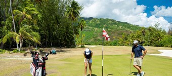 Moorea - Paopao Pool Mountain