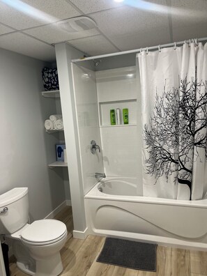 Hair dryer, towels, soap, toilet paper