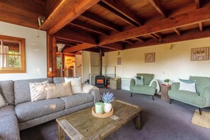 TV connectée, cheminée, livres
