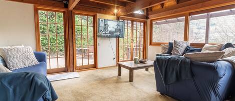 Smart TV, fireplace, books