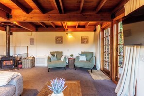 Smart TV, chimenea y libros