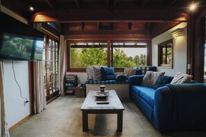 TV connectée, cheminée, livres