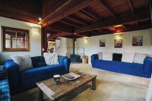 TV connectée, cheminée, livres