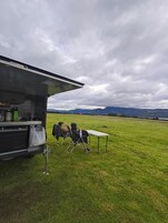 住宿正面