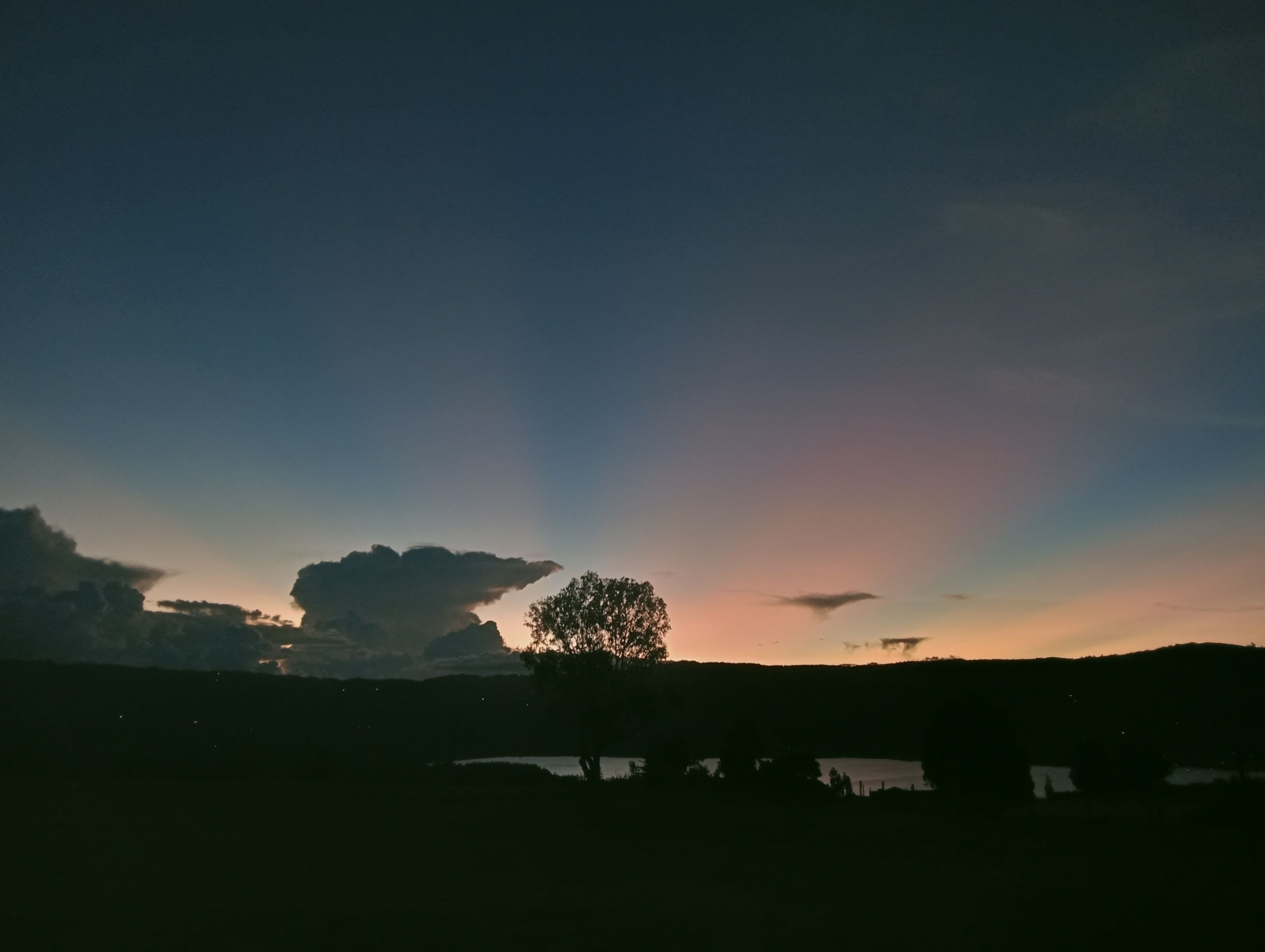 Un paisaje con la silueta de un árbol contra un cielo crepuscular.