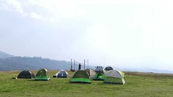 A campsite with several tents set up on a grassy field, with a hilly landscape in the background.