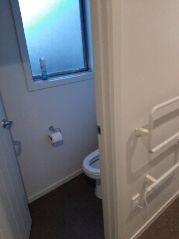 A small bathroom with a toilet, a window, and a roll of toilet paper on the wall.