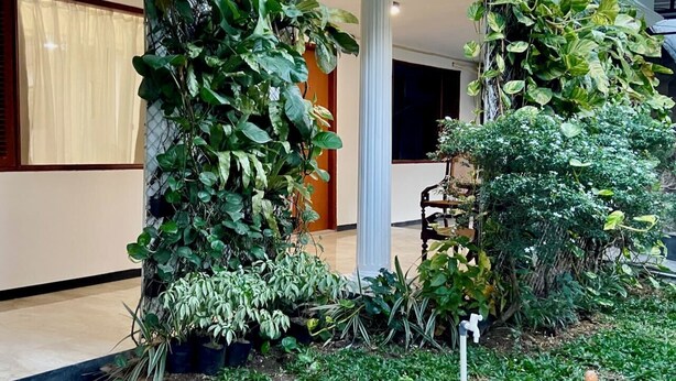 Un espace paysager bien entretenu, agrémenté de diverses plantes et d’un élément aquatique, se trouve devant un bâtiment doté d’une colonne blanche et d’une porte.
